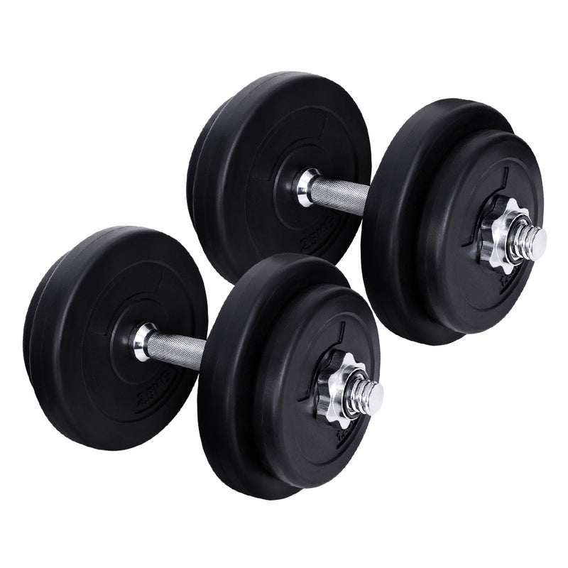 20kg dumbbells 