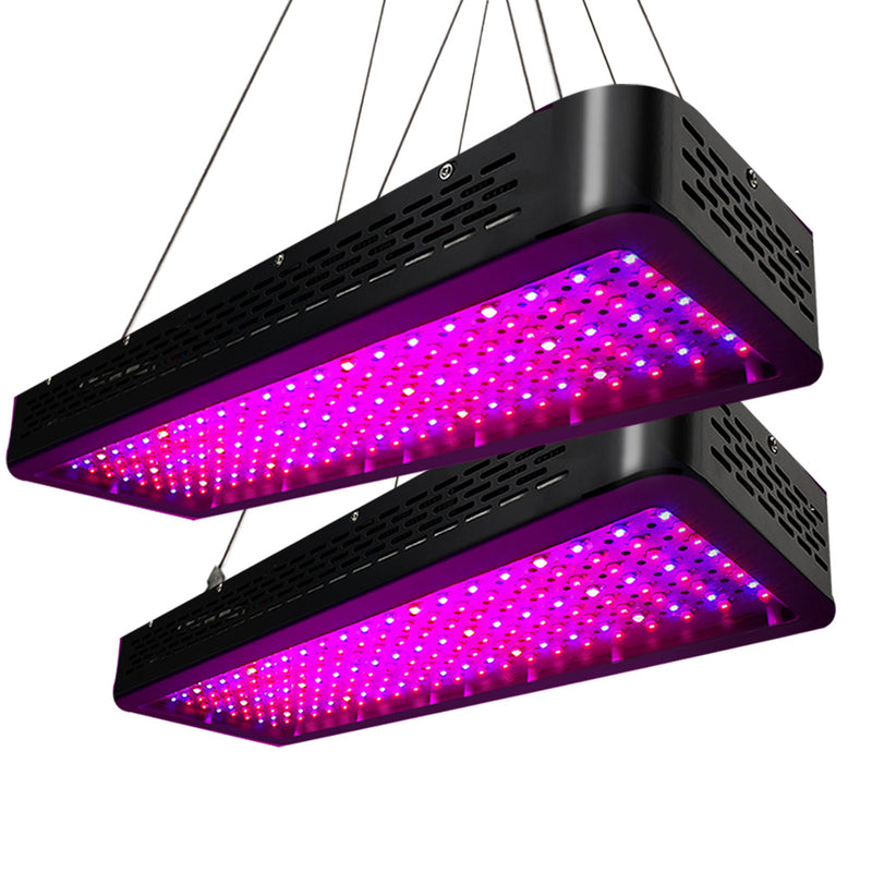 led grow lights 2000w