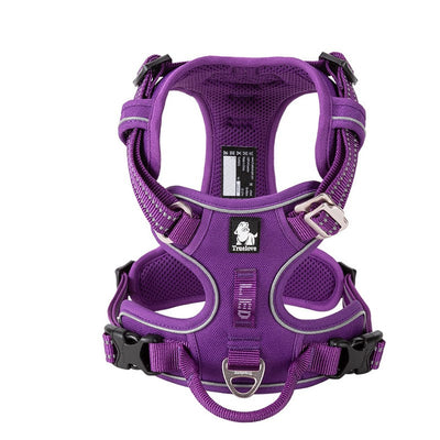 dog harness purple 