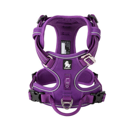 Harness Purple