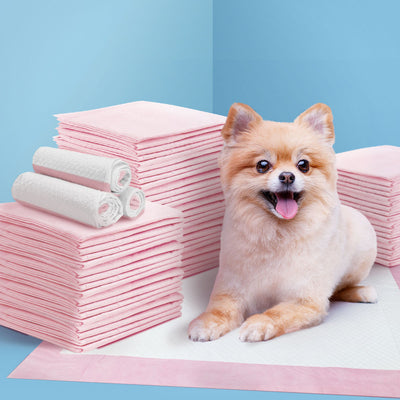 i.Pet Pet Training Pads 200pcs 60x60cm Puppy Dog Toilet Pee Indoor Super Absorbent Pink
